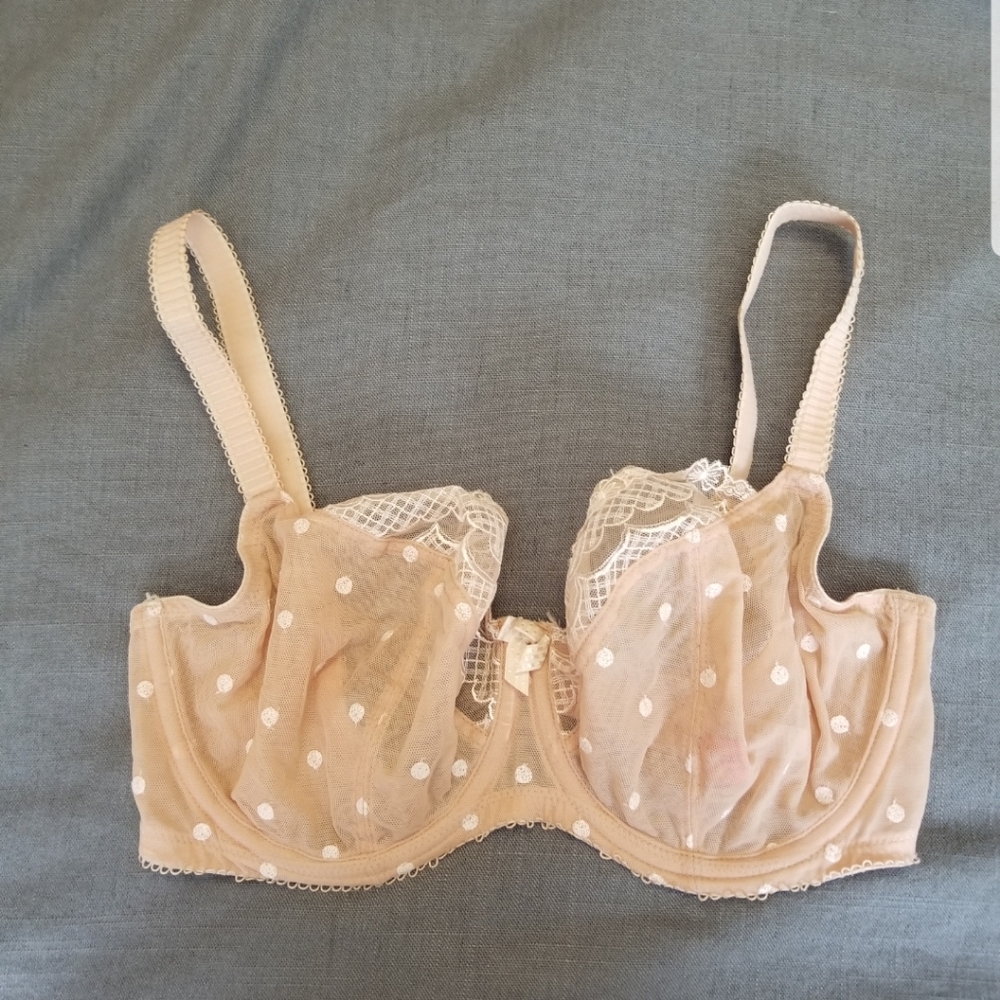 Cleo Marcie bra